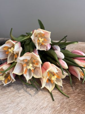 2Real Touch Papegaai tulp roze