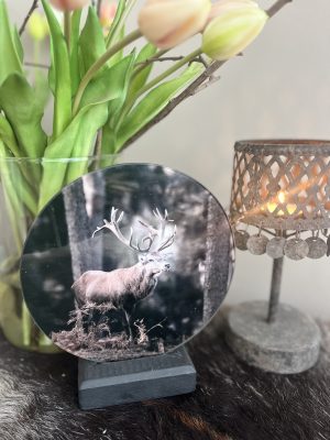 8Glazen cirkel edelhert