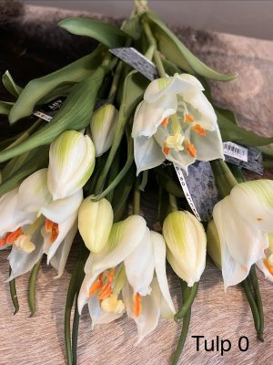 Real Touch Papegaai tulp wit 1