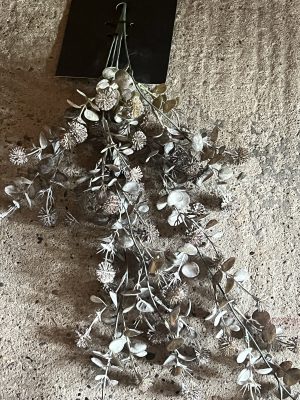 1hangplant